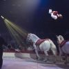 Exclusif - Ambiance - La première du nouveau spectacle du Cirque d'Hiver Bouglione, "Exploit" à Paris , le 15 octobre 2017. © Pierre Perusseau/Bestimage