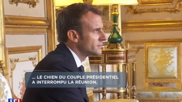 Emmanuel Macron : Son chien Nemo urine en pleine réunion à l'Elysée