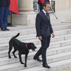Le président Emmanuel Macron et son chien Nemo sur le perron du palais de l'Elysée à Paris le 28 août 2017 © Pierre Perusseau / Bestimage