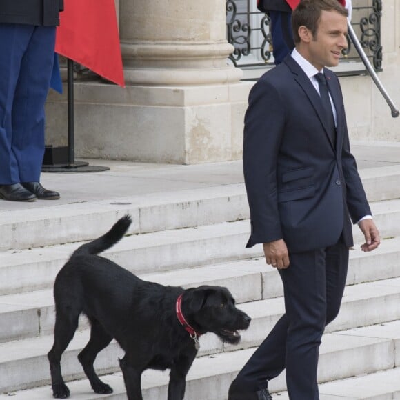 Le président Emmanuel Macron et son chien Nemo sur le perron du palais de l'Elysée à Paris le 28 août 2017 © Pierre Perusseau / Bestimage