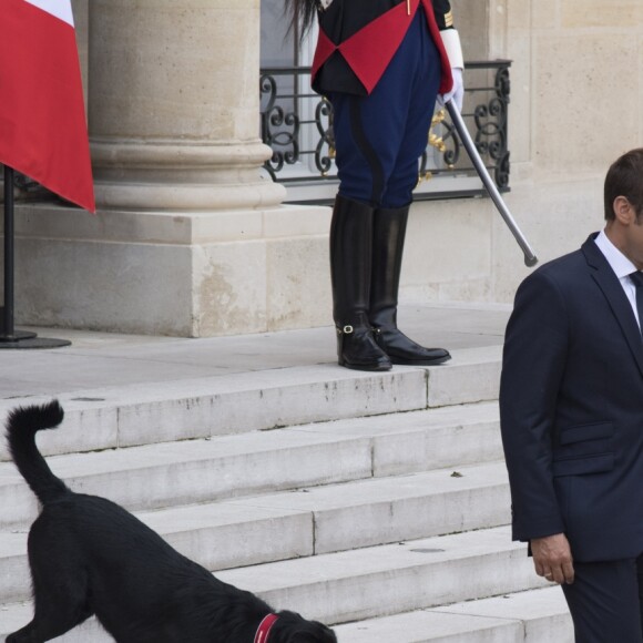 Le président Emmanuel Macron et le chien Nemo - Réunion au Palais de l'Elysée pour affirmer le soutien de l'Europe au Tchad, au Niger et à la Lybie pour le contrôle et la gestion maitrisée des flux migratoires. Paris, le 28 août 2017 © Pierre Perusseau / Bestimage