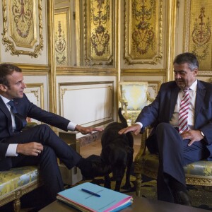 Le président Emmanuel Macron et le chien Nemo lors d'un entretien avec Sigmar Gabriel, le vice chancelier allemand au palais de l'Elysée à Paris le 30 août 2017. © Romain Beurrier / Pool / Bestimage