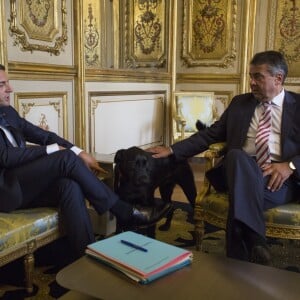 Le président Emmanuel Macron et le chien Nemo lors d'un entretien avec Sigmar Gabriel, le vice chancelier allemand au palais de l'Elysée à Paris le 30 août 2017. © Romain Beurrier / Pool / Bestimage