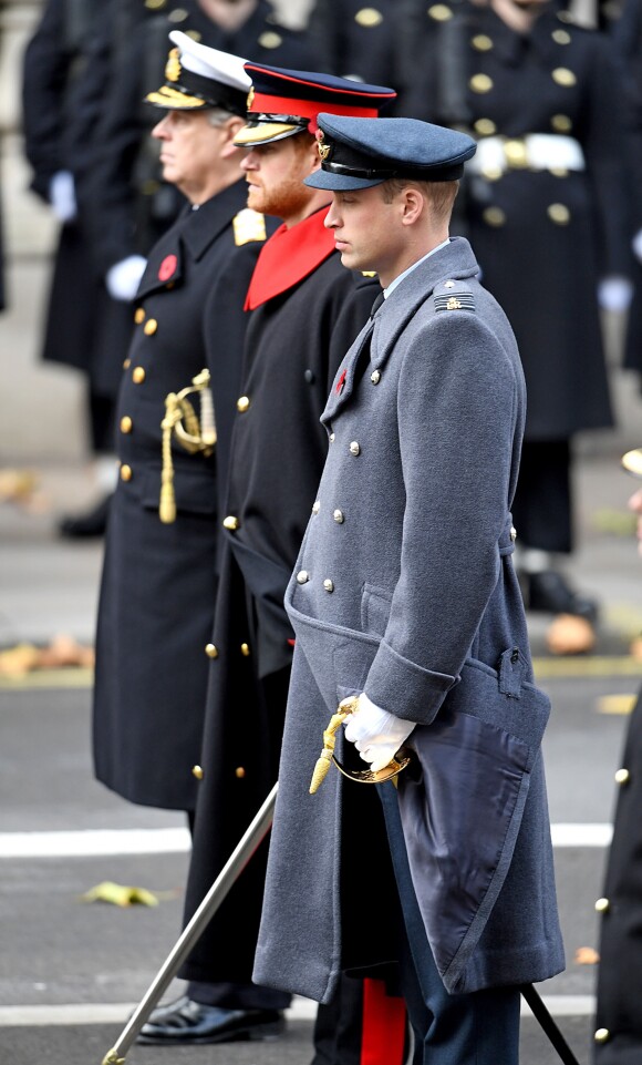 Le prince Harry, bien barbu entre le prince William et le prince Andrew, rasés de frais, au Cénotaphe de Whitehall à Londres le 12 novembre 2017 pour les commémorations du Dimanche du Souvenir.