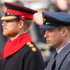 Le prince Harry, barbu, et le prince William au Cénotaphe de Whitehall à Londres le 12 novembre 2017 pour les commémorations du Dimanche du Souvenir.