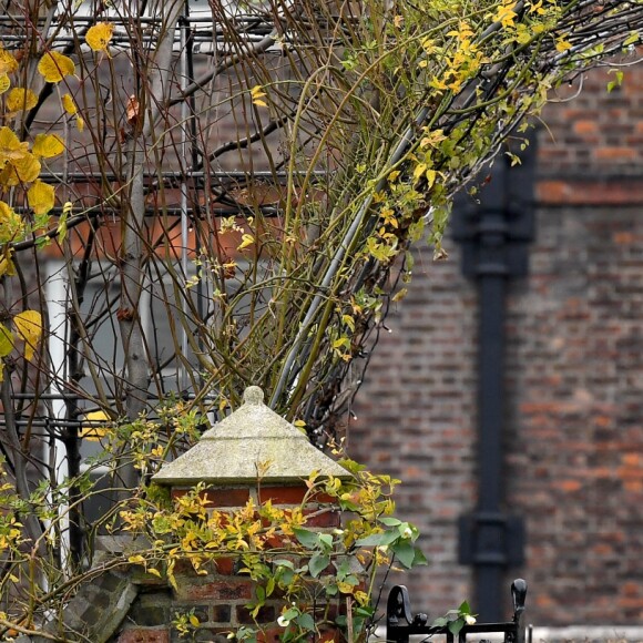 Le prince Harry et Meghan Markle posent pour des photos dans le Sunken Garden au palais de Kensington à Londres le 27 novembre 2017 après l'annonce de leurs fiançailles et de leur mariage prévu au printemps 2018.