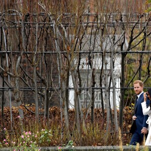 Le prince Harry et Meghan Markle posent pour des photos dans le Sunken Garden au palais de Kensington à Londres le 27 novembre 2017 après l'annonce de leurs fiançailles et de leur mariage prévu au printemps 2018.