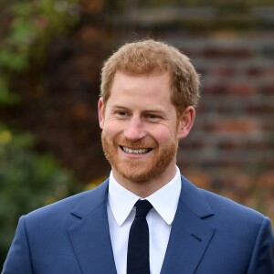 Le prince Harry et Meghan Markle posent pour des photos dans le Sunken Garden au palais de Kensington à Londres le 27 novembre 2017 après l'annonce de leurs fiançailles et de leur mariage prévu au printemps 2018.