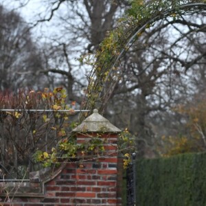 Le prince Harry et Meghan Markle posent pour des photos dans le Sunken Garden au palais de Kensington à Londres le 27 novembre 2017 après l'annonce de leurs fiançailles et de leur mariage prévu au printemps 2018.