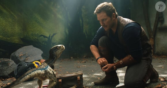 Image du film Jurassic World - Fallen Kingdom en salles le 6 juin 2018