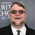 Guillermo Del Toro lors des "23ème Critics Choice Awards" au Barker Hangar à Los Angeles, le 11 janvier 2018. © Chris Delmas/Bestimage