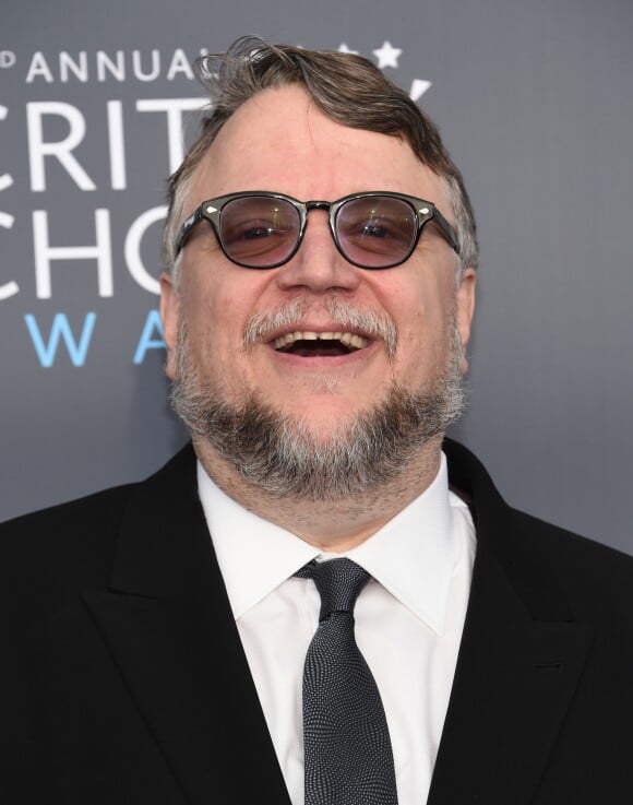 Guillermo Del Toro lors des "23ème Critics Choice Awards" au Barker Hangar à Los Angeles, le 11 janvier 2018. © Chris Delmas/Bestimage