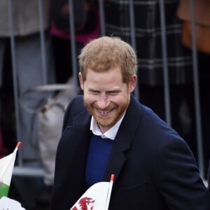 Le prince Harry et Meghan Markle en visite au château de Cardiff le 18 janvier 2018.