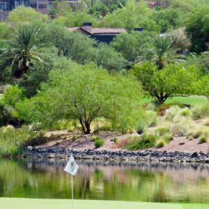 DR - Exclusif - La maison actuelle de Céline Dion à Henderson près de Las Vegas, le 29 août 2015.