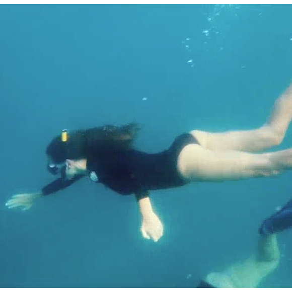 Ophélie Meunier sublime dans le dernier numéro de "Zone Interdite", diffusé le 4 mars 2018 sur M6. On a pu voir l'animatrice nager avec les dauphins.