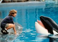 Jason James Richter : Le héros de "Sauvez Willy" a bien grandi...