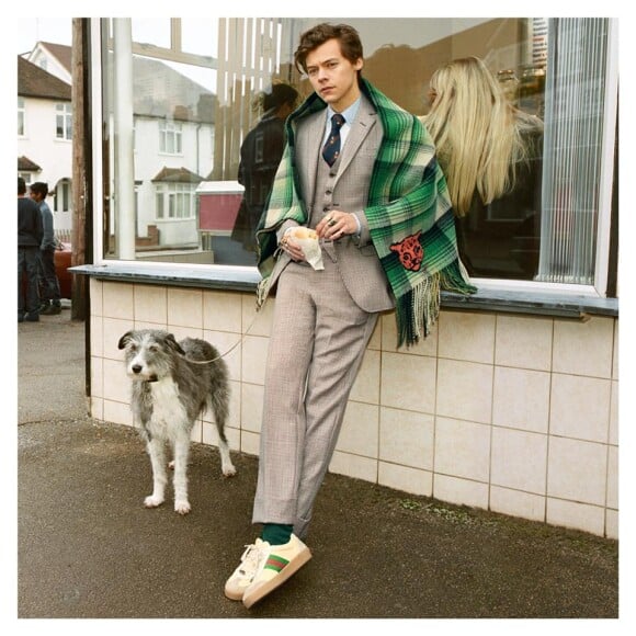 Harry Styles est le visage de la nouvelle campagne de Gucci Tailoring (pré-collection automne 2018).