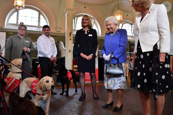 La reine Elisabeth II d'Angleterre et Camilla Parker Bowles, duchesse de Cornouailles, lors du 10ème anniversaire de "Medical Detection Dogs" à Londres. Le 6 juin 2018.