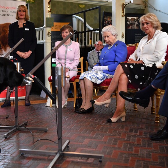 La reine Elisabeth II d'Angleterre et Camilla Parker Bowles, duchesse de Cornouailles, lors du 10ème anniversaire de "Medical Detection Dogs" à Londres. Le 6 juin 2018.