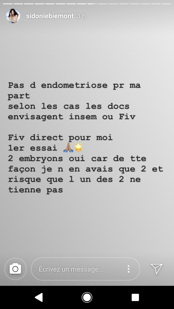 Sidonie Biemont évoque les conditions de son traitement par FIV pour avoir ses jumeaux - Instagram, 17 juillet 2018