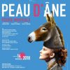 Claire Chazal à l'affiche de la pièce musicale, "Peau d'Âne". Elle sera lancée le 14 novembre 2018 au Théâtre Marigny.