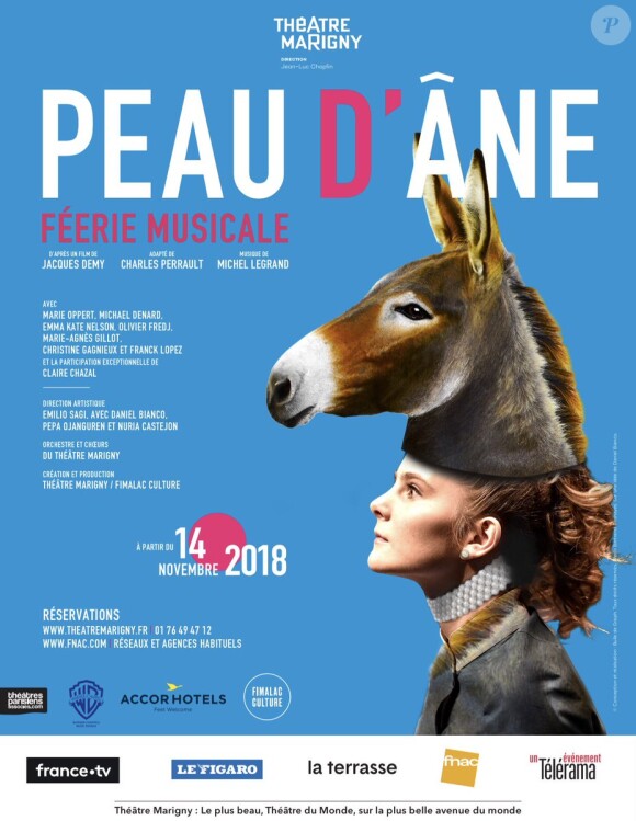 Claire Chazal à l'affiche de la pièce musicale, "Peau d'Âne". Elle sera lancée le 14 novembre 2018 au Théâtre Marigny.