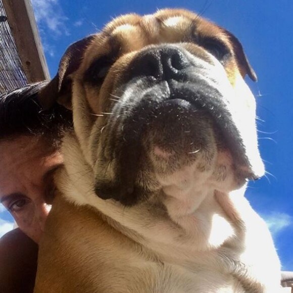 Florence Foresti présente son nouveau chien sur Instagram, le 6 septembre 2018