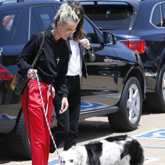 Laeticia Hallyday accompagnée de sa chienne Cheyenne va déjeuner avec Jean-François Piège et sa femme Elodie, Yaël Abrot, Christina accompagnée de sa chienne et Ezra Petronio avec sa compagne Lana Petrusevych au restaurant Nobu à Malibu le 10 mai 2018.