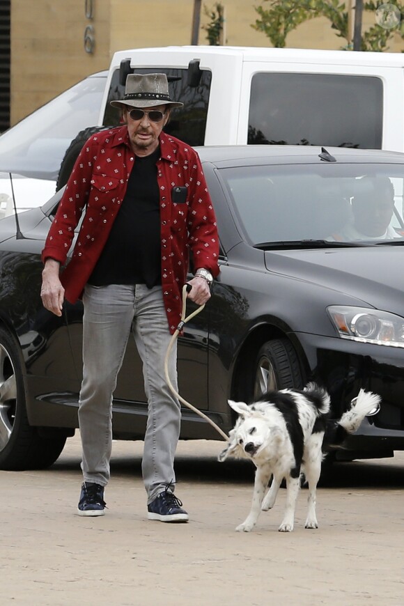Johnny Hallyday arrive avec sa chienne Cheyenne pour aller déjeuner avec ses amis, P. Rambaldi et le musicien J.C. Sindres au restaurant Nobu dans le quartier de Malibu à Los Angeles, Californie, Etats-Unis, le 2 avril 2017.