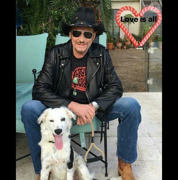 Johnny Hallyday avec sa chienne Cheyenne sur Instagram en janvier et novembre 2017. 