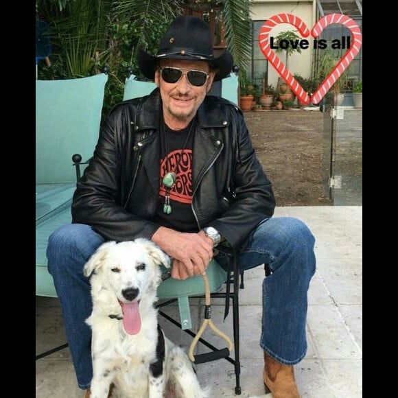 Johnny Hallyday avec sa chienne Cheyenne sur Instagram en janvier et novembre 2017. 