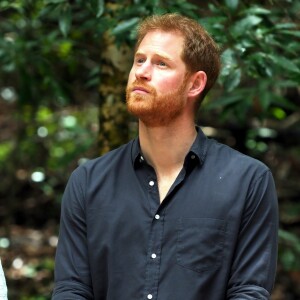 Le prince Harry, duc de Sussex, visite la forêt "K'gari" sur l'île Fraser en Australie, le 22 octobre 2018. Le duc dévoile une plaque dans la forêt "Queen's Commonwealth Canopy" et regarde ensuite des danses traditionnelles du peuple Butchulla.