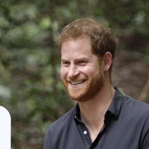 Le prince Harry, duc de Sussex, visite la forêt "K'gari" sur l'île Fraser en Australie, le 22 octobre 2018. Le duc dévoile une plaque dans la forêt "Queen's Commonwealth Canopy" et regarde ensuite des danses traditionnelles du peuple Butchulla.