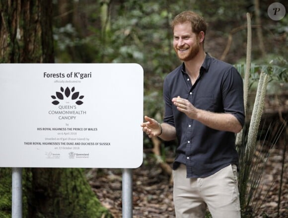 Le prince Harry, duc de Sussex, visite la forêt "K'gari" sur l'île Fraser en Australie, le 22 octobre 2018. Le duc dévoile une plaque dans la forêt "Queen's Commonwealth Canopy" et regarde ensuite des danses traditionnelles du peuple Butchulla.