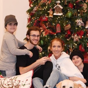 Céline Dion et ses fils prennent la pose pour Noël. Las Vegas, décembre 2018