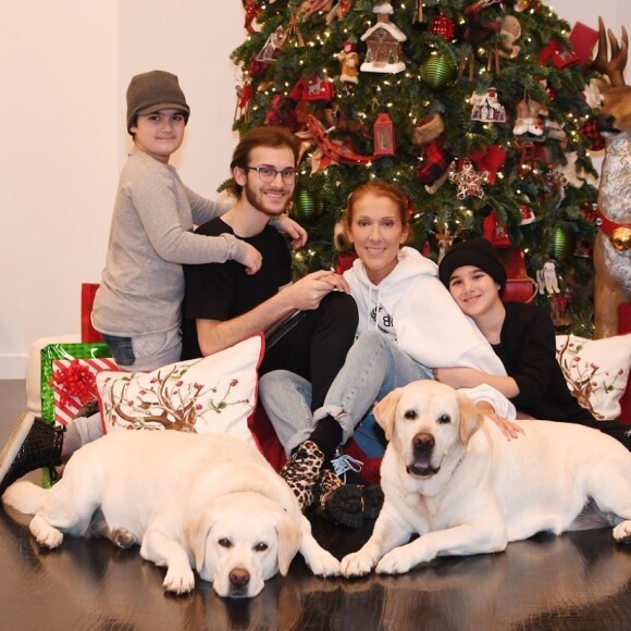 Céline Dion et ses fils prennent la pose pour Noël. Las Vegas, décembre 2018