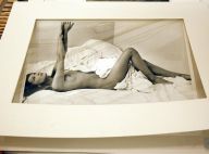 Carla Bruni, sublimement nue... mise aux enchères ! Regardez ! Présentation de la photo à Berlin ! (réactualisé)