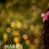 Marlène et Kevin - "Mariés au premier regard 3", M6, 18 février 2019