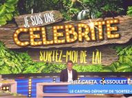 Je suis une célébrité, sortez-moi de là : Un candidat se retire du casting