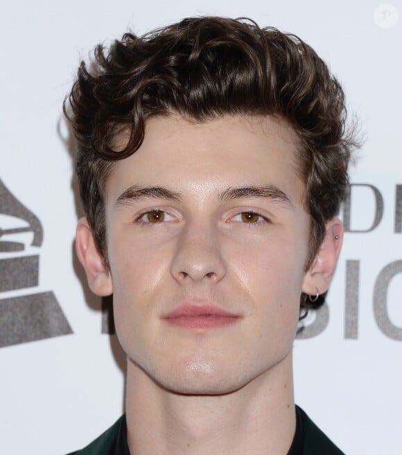 Shawn Mendes - Les célébrités posent lors du photocall de la soirée "2019 MusiCares Person of the Year Tribute" à Los Angeles le 8 février, 2019