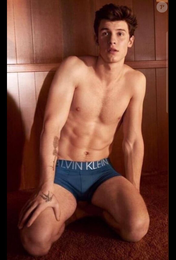 Shawn Mendes pose dans une campagne pour les boxers Calvin Klein.