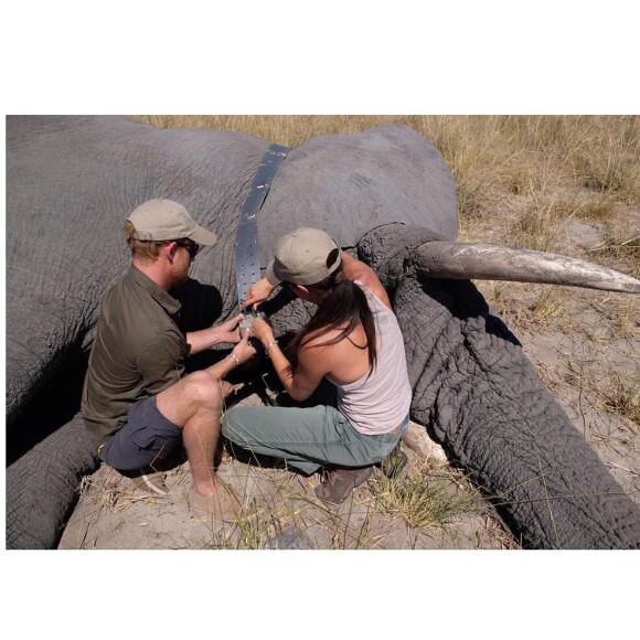 Le prince Harry et Meghan Markle au Botswana en 2017.