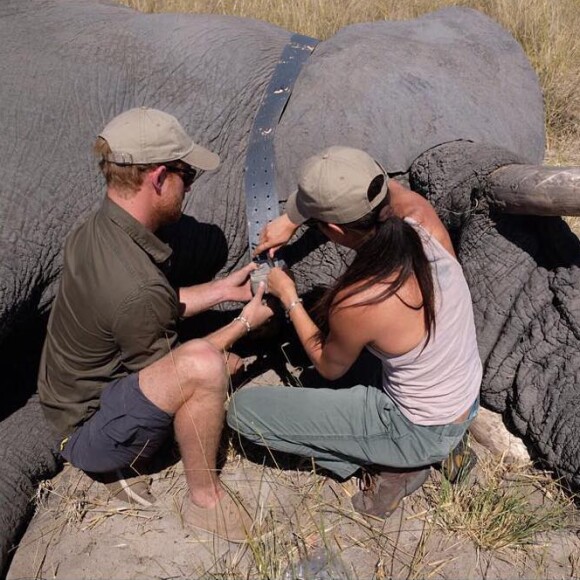 Le prince Harry et Meghan Markle au Botswana en 2017.