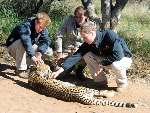 Les princes Harry et William au Botswana en 2010.