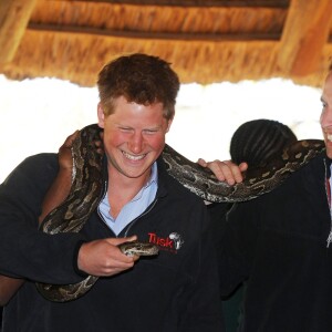 Les princes Harry et William au Botswana en 2010.