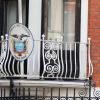 Exclusif - Le chat de Julian Assange arbore un collier-cravate aux couleurs du mouvement LGBT à la fenêtre de l'ambassade Equatorienne à Londres, le 25 juillet 201