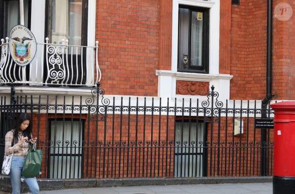 Exclusif - Le chat de Julian Assange arbore un collier-cravate aux couleurs du mouvement LGBT à la fenêtre de l'ambassade Equatorienne à Londres, le 25 juillet 201