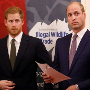 Le prince William, duc de Cambridge, et le prince Harry, duc de Sussex, participent en compagnie de Lord William Hague, à une conférence organisée par la "United for Wildlife Financial Task Force" à la Mansion House à Londres, le 10 octobre 2018.