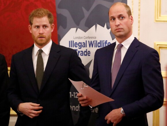 Le prince William, duc de Cambridge, et le prince Harry, duc de Sussex, participent en compagnie de Lord William Hague, à une conférence organisée par la "United for Wildlife Financial Task Force" à la Mansion House à Londres, le 10 octobre 2018.
