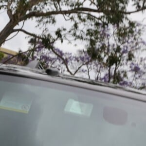 Britney Spears quitte le tribunal aux côtés de sa mère Lynne Spears à Los Angeles. L'audience portait sur la mise sous tutelle de la chanteuse après la fin de son traitement. Britney n'était pas dans la salle d'audience mais dans le bureau du juge lorsque son avocat parlait en son nom. Quand elle est apparue, un témoin oculaire a déclaré que la chanteuse "portait un col roulé noir et était assise à côté de sa mère". Le 10 mai 2019.